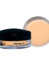 Christine Derma X – Shade CN-IVORY